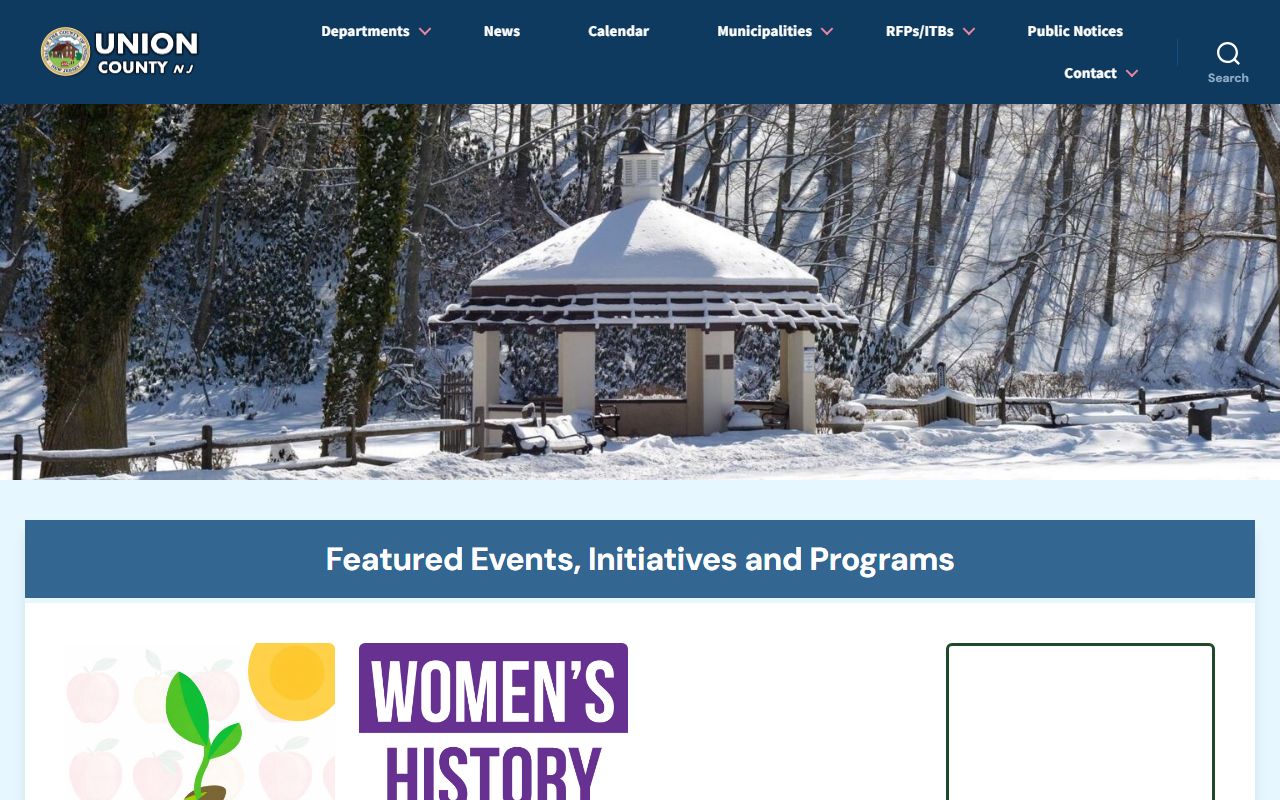 Union County Clerk official records website for Union County divorce records